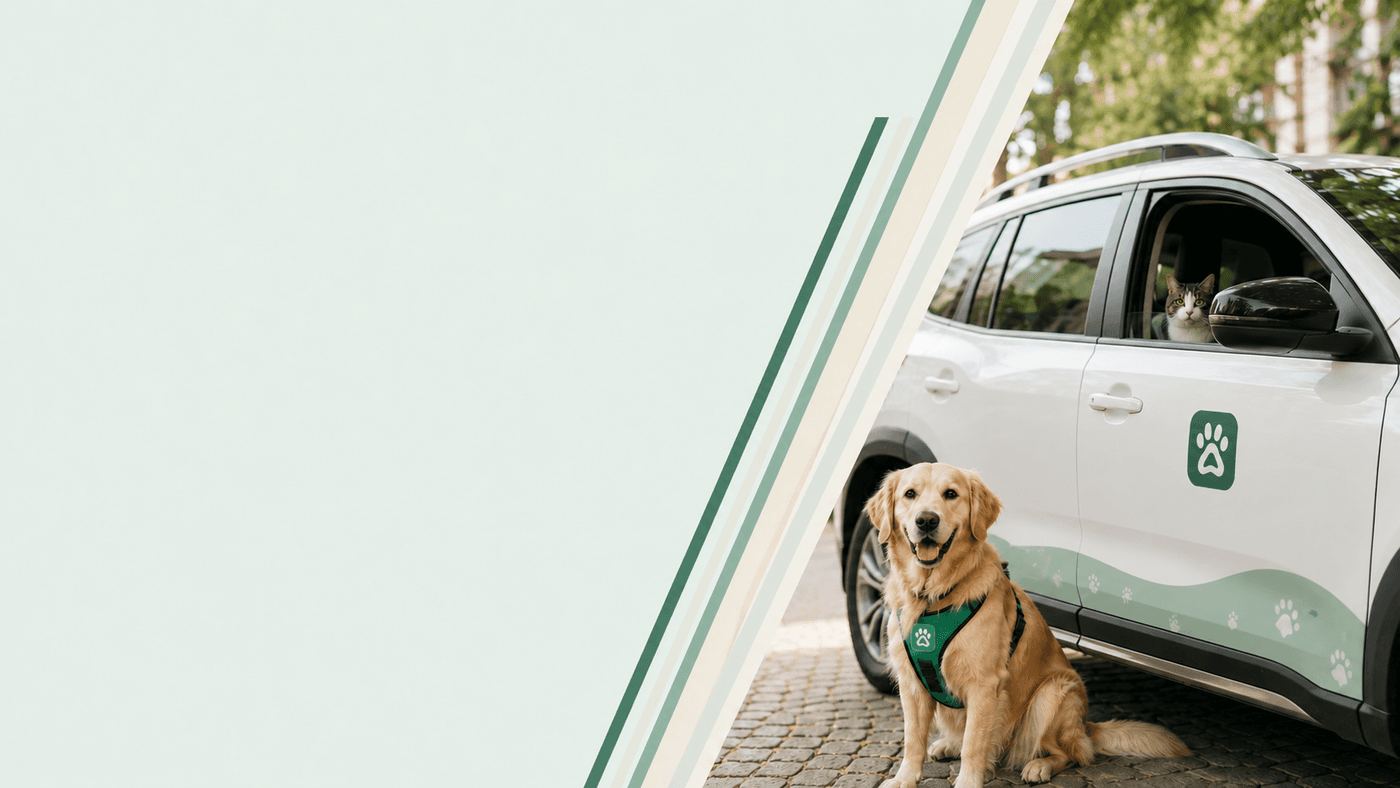 patimove aracında güvenle yolculuk eden bir köpek ve kedi